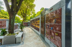 绿色殡葬新风尚：探索葬式多样化的创新之路