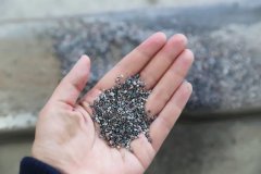 石语新章：仿真保护箱中的生态启示录